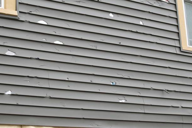 Best Historical Building Siding Restoration  in Las Vegas, NV